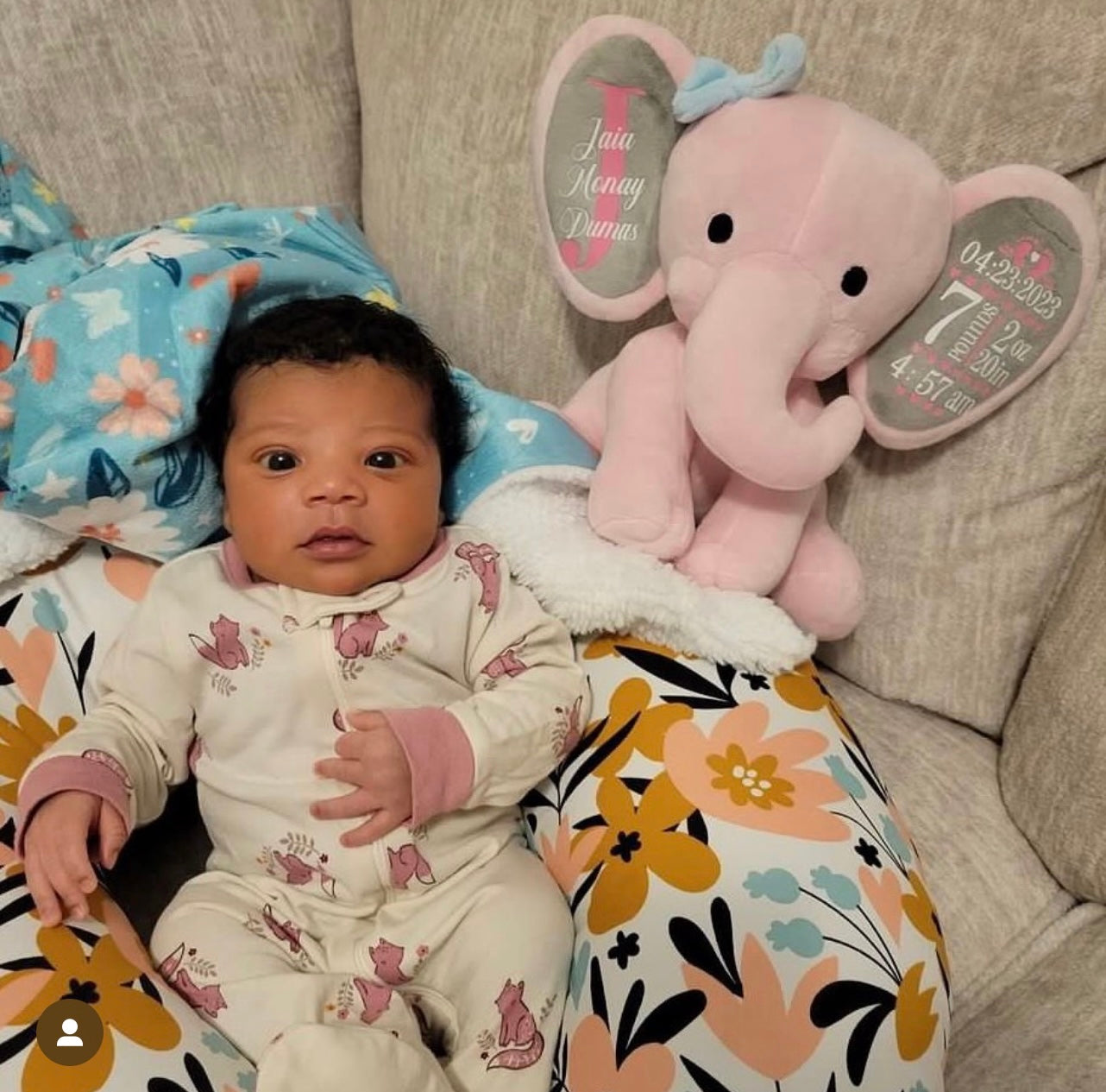 Birth Stat Elephant